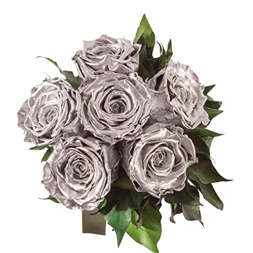 Infinity Blumenstrauß echte konservierte Rosen Lange haltbar bis zu 3 Jahre (6 Rosen, Silber) von ROSEMARIE SCHULZ Heidelberg
