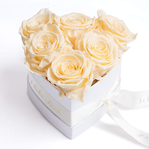 ROSEMARIE SCHULZ Heidelberg Infinity Herz Rosenbox - 15 x 10 cm 6 echte Rosen konserviert - Besondere (Beige, Medium) von ROSEMARIE SCHULZ Heidelberg