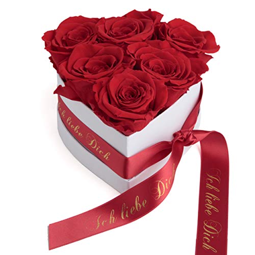 ROSEMARIE SCHULZ Heidelberg Geschenke für Sie Valentinstag Infinity Herz Rosenbox 6 rote Rosen konserviert - Ich Liebe Dich Geschenk für Frauen (Rot, Medium) von ROSEMARIE SCHULZ Heidelberg