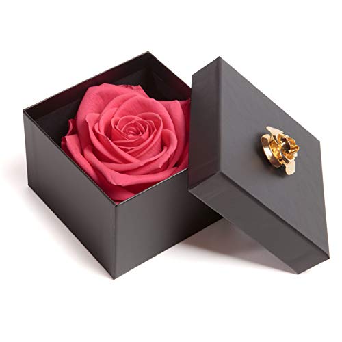 ROSEMARIE SCHULZ Heidelberg Infinity Rose haltbar 3 Jahre in Box (Pink, 1 Rose) von ROSEMARIE SCHULZ Heidelberg
