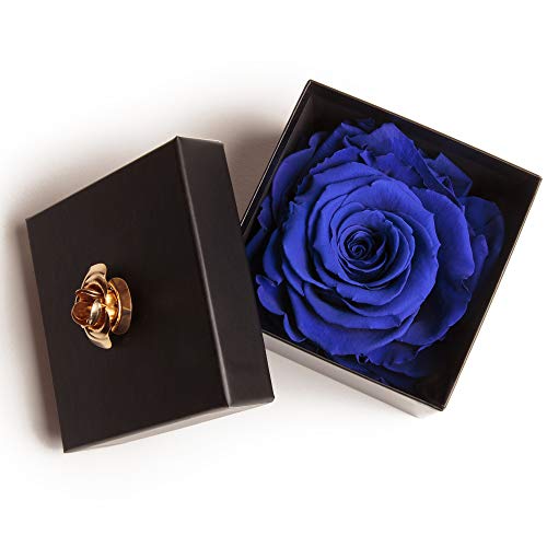 ROSEMARIE SCHULZ Heidelberg Ewige Rose Blau in Box - Rosenbox 1 echte Rose blau konserviert haltbar 3 Jahre in Blumenbox 8,5x8,5cm - Valentinstag für sie Rose (Blau, 1 Rose) von ROSEMARIE SCHULZ Heidelberg