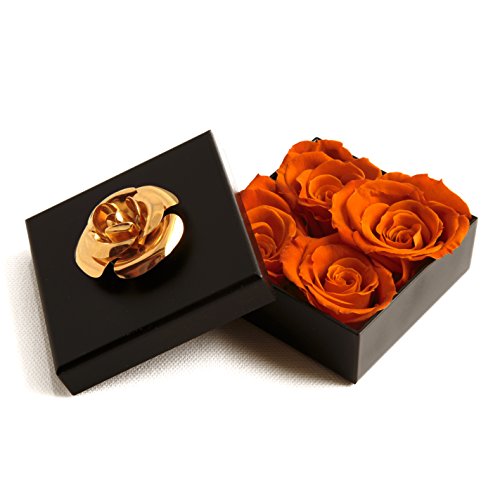 ROSEMARIE SCHULZ Heidelberg Infinity Rosen haltbar 3 Jahre in Box Rose konserviert (Orange, 4 Röschen) von ROSEMARIE SCHULZ Heidelberg