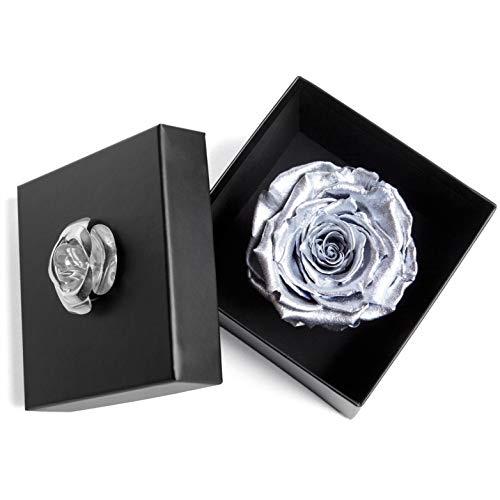 ROSEMARIE SCHULZ Heidelberg Ewige Rose Silber haltbar 3 Jahre in Box Rose konserviert (Silber, 1 Rose) von ROSEMARIE SCHULZ Heidelberg