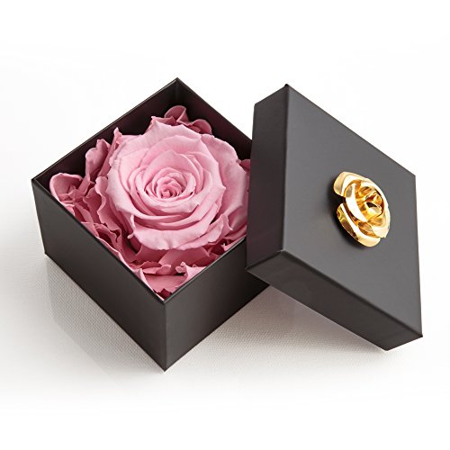 ROSEMARIE SCHULZ Heidelberg Ewige Rose Rosa in Box - Rosenbox 8,5x8,5cm 1 echte Rose haltbar 3 Jahre in Blumenbox - Valentinstag für Beste Freundin Rose von ROSEMARIE SCHULZ Heidelberg