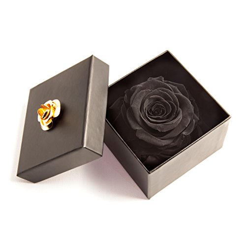 ROSEMARIE SCHULZ Heidelberg Ewige Rose Schwarz in Box - Rosenbox 8,5x8,5cm 1 echte Rose konserviert haltbar 3 Jahre in Blumenbox - Beste Freundin Geschenke (Schwarz, 1 Rose) von ROSEMARIE SCHULZ Heidelberg