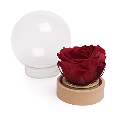 ROSEMARIE SCHULZ Heidelberg Infinity Rose im Glas echte haltbar langlebige Rose in Glaskugel (Large, Dunkelrot) von ROSEMARIE SCHULZ Heidelberg