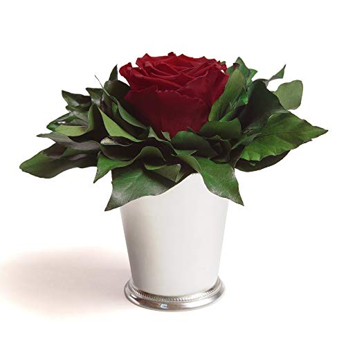 ROSEMARIE SCHULZ Heidelberg Infinity Rose in silberfarbenen Becher 1 ewige Rose konserviert Blumenstrauß, Rosenbox, Flowerbox langhaltend (Burgundy, 1 Rose) von ROSEMARIE SCHULZ Heidelberg