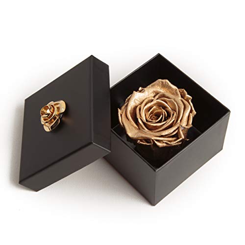 ROSEMARIE SCHULZ Heidelberg Ewige Rose Gold konserviert haltbar 3 Jahre in Rosenbox (Gold, 1 Rose) von ROSEMARIE SCHULZ Heidelberg
