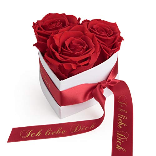 ROSEMARIE SCHULZ Heidelberg Infinity Rosen Rosenbox Herz - 3 konservierte rote Rosen haltbar 3 Jahre 10x12cm Liebe (Rot, Small) von ROSEMARIE SCHULZ Heidelberg