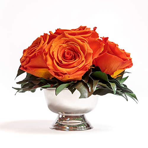 ROSEMARIE SCHULZ Heidelberg Infinity Rosen in Silberfarbener Blumenschale - 6 Konservierte Rosen, Rosenbox, Blumenstrauß (Orange) von ROSEMARIE SCHULZ Heidelberg