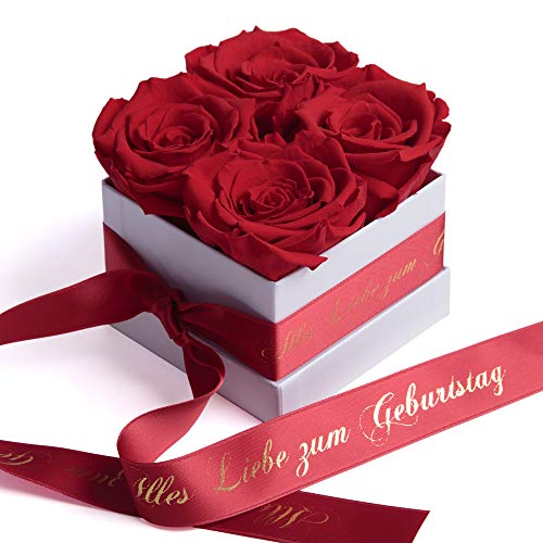 ROSEMARIE SCHULZ Heidelberg Infinity Rosenbox Alles Liebe zum Geburtstag - Blumenbox mit Infinity Rosen haltbar 3 Jahre - Geburtstagsgeschenk für Freundin (Alles Liebe zum Geburtstag, Weiß-Rot) von ROSEMARIE SCHULZ Heidelberg