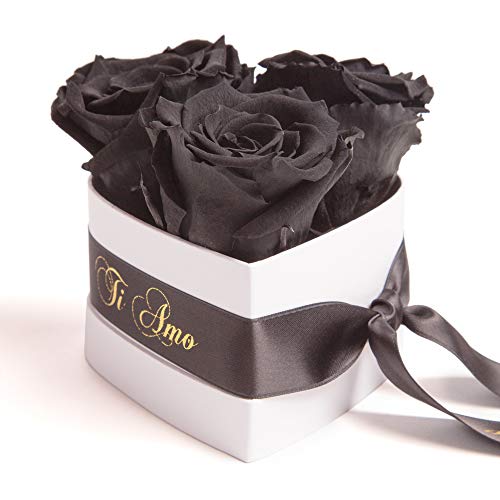 Infinity Rosenbox Herz - 10x12cm 3 konservierte Rosen haltbar 3 Jahre - Geschenk für Frauen - beste Freundin Geschenke (Ti Amo, Schwarz) von ROSEMARIE SCHULZ Heidelberg