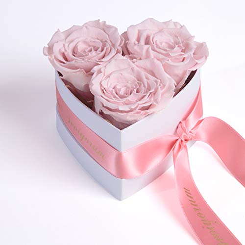 ROSEMARIE SCHULZ Heidelberg Infinity Rosenbox Herz - 3 echte rosa Rosen konserviert haltbar 3 Jahre 10x12cm - Seni Seviyorum hediye besondere Geschenke für Frau Liebesbeweis (Seni Seviyorum, Rosa) von ROSEMARIE SCHULZ Heidelberg