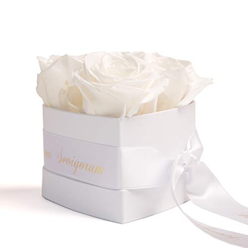 ROSEMARIE SCHULZ Heidelberg Infinity Rosenbox Herz - 3 ewige Rosen weiß konserviert haltbar 3 Jahre 10x12cm - Seni Seviyorum hediye Geschenke für Freundinnen Liebesbeweis (Seni Seviyorum, Weiß) von ROSEMARIE SCHULZ Heidelberg