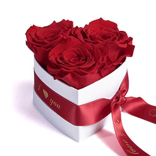 ROSEMARIE SCHULZ Heidelberg Infinity Rosenbox Herz 3 konservierte Rosen in Box - haltbar 3 Jahre 10x12cm - Liebeserklärung Herz Geschenke für Frauen Valentinstag und Frauentag (I Love You, Rot) von ROSEMARIE SCHULZ Heidelberg