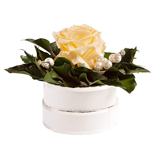 Infinity Rosenbox Kristall und Perlen 1 echte Rose haltbar Mama Geschenk Muttertag (Beige) von ROSEMARIE SCHULZ Heidelberg