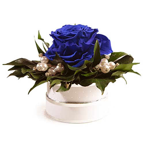 ROSEMARIE SCHULZ Heidelberg Infinity Rosenbox Kristall und Perlen 1 echte Rose haltbar Mama Geschenk Muttertag (Blau) von ROSEMARIE SCHULZ Heidelberg