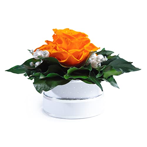 Infinity Rosenbox Kristall und Perlen 1 echte Rose haltbar Mama Geschenk Muttertag (Gelb) von ROSEMARIE SCHULZ Heidelberg