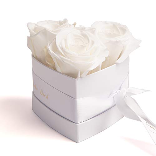 ROSEMARIE SCHULZ Heidelberg Infinity Rosen Rosenbox Herz - 10 x 12 cm 3 konservierte weiße Rosen haltbar 3 Jahre - Valentinstag für Frau Ich Liebe (Weiß, Small) von ROSEMARIE SCHULZ Heidelberg