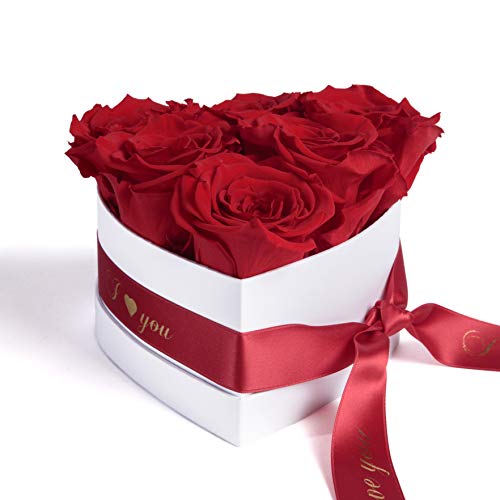 ROSEMARIE SCHULZ Heidelberg Infinity Rosenbox in Herzform konservierte Rosen Geschenk für Frauen (I Love You, Rot) von ROSEMARIE SCHULZ Heidelberg