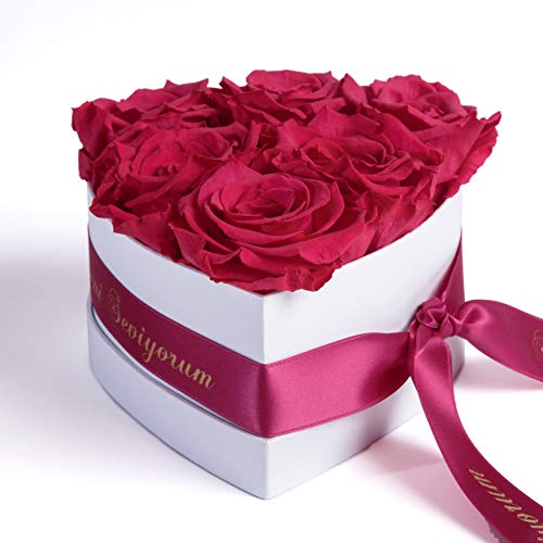 ROSEMARIE SCHULZ Heidelberg Infinity Rosenbox in Herzform konservierte Rosen Geschenk für Frauen (Seni Seviyorum, Pink) von ROSEMARIE SCHULZ Heidelberg
