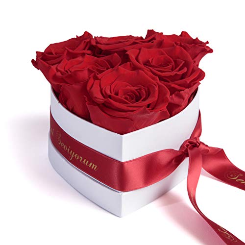 ROSEMARIE SCHULZ Heidelberg Infinity Rosenbox in Herzform konservierte Rosen Geschenk für Frauen (Seni Seviyorum, Rot) von ROSEMARIE SCHULZ Heidelberg