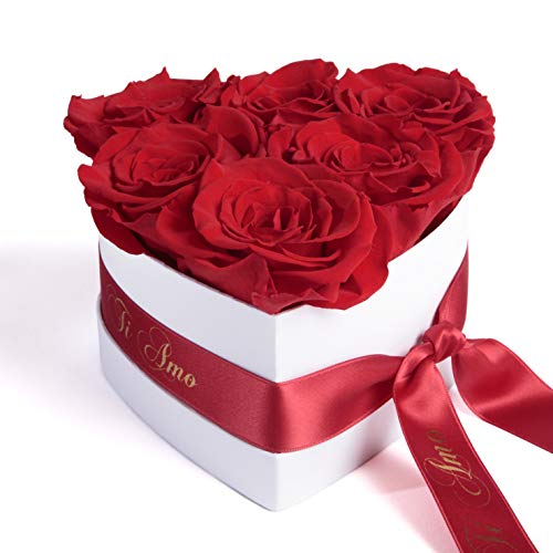ROSEMARIE SCHULZ Heidelberg Infinity Rosenbox in Herzform konservierte Rosen Geschenk für Frauen (Ti Amo, Rot) von ROSEMARIE SCHULZ Heidelberg