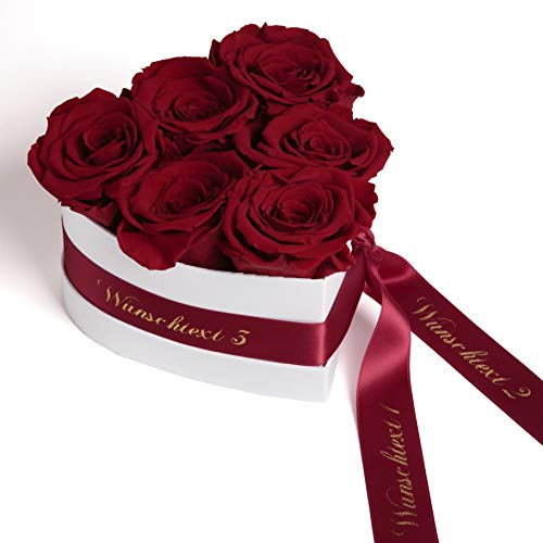 ROSEMARIE SCHULZ Heidelberg Infinity Rosenbox in Herzform mit WUNSCHTEXT personalisiert und konservierte Rosen als Liebesbeweis Geschenk für Frauen (Wunschtext, Burgundy) von ROSEMARIE SCHULZ Heidelberg