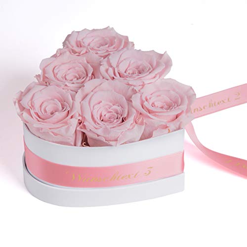 ROSEMARIE SCHULZ Heidelberg Infinity Rosenbox in Herzform mit WUNSCHTEXT personalisiert und konservierte Rosen als Liebesbeweis für Frauen (Wunschtext, Rosa) von ROSEMARIE SCHULZ Heidelberg