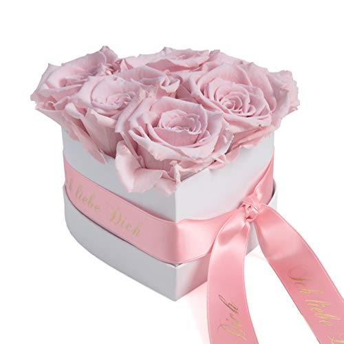 ROSEMARIE SCHULZ Heidelberg Infinity Herz Rosenbox - 6 rosa Rosen konserviert 15x10cm - Ich Liebe Dich Valentinstag für Frau Geschenke (Rosa, Medium) von ROSEMARIE SCHULZ Heidelberg