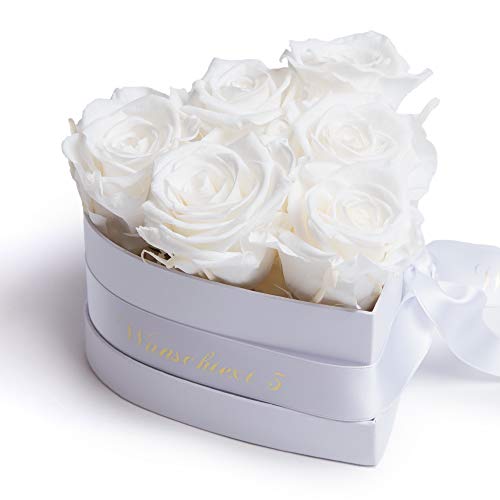 ROSEMARIE SCHULZ Heidelberg Infinity Rosenbox in Herzform mit personalisierte Widmung konservierte Rosen EIN persönliches Geschenk für Frauen (Wunschtext, Weiß) von ROSEMARIE SCHULZ Heidelberg