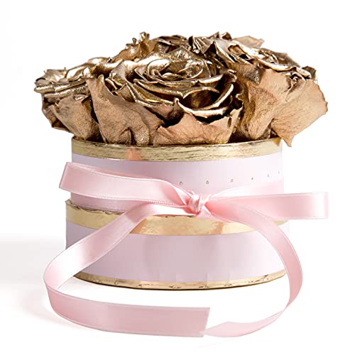 ROSEMARIE SCHULZ Heidelberg Infinity Rosenbox rosa rund - 4 echte Rose goldfarben haltbar 3 Jahre - ewige Rose die eine Ewigkeit blüht Geschenke für Mama zur goldene Hochzeit (Small, Gold) von ROSEMARIE SCHULZ Heidelberg