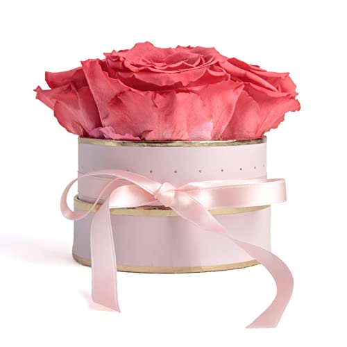 ROSEMARIE SCHULZ Heidelberg Rosenbox Flowerbox rund Infinity Rosen - Blumenbox in Rosa 4 konservierte Rosen Muttertag (Small, Rosa-Korall) von ROSEMARIE SCHULZ Heidelberg