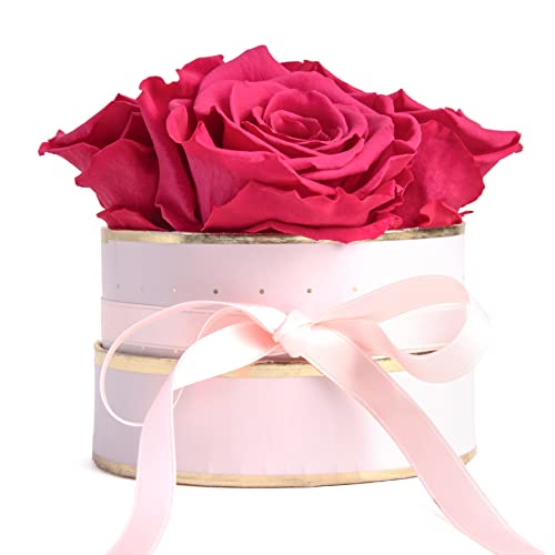 ROSEMARIE SCHULZ Heidelberg Rosenbox rund Infinity Rosen Pink - Blumenbox in Rosa mit 4 mal ewige Rose haltbar 3 Jahre - Freundinnen Geschenkideen und Geschenke für Freundinnen (Rosa-Pink) von ROSEMARIE SCHULZ Heidelberg