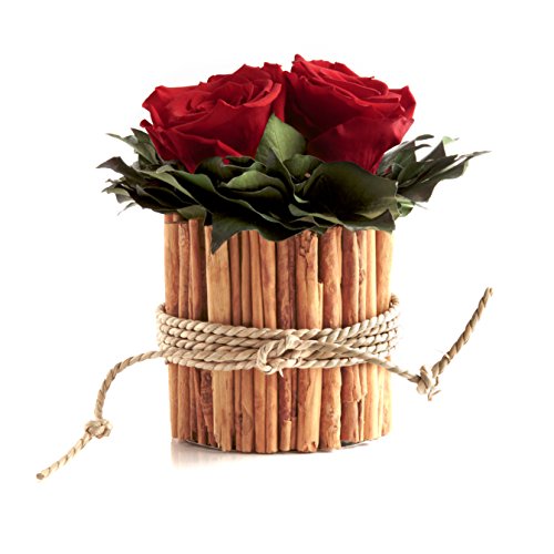 ROSEMARIE SCHULZ Heidelberg Infinity Rosenbox rund 3 echte Rosen Rot konserviert in Vase aus Zimtstangen Lange haltbar 3 Jahre (Rot, 3 Rosen) von ROSEMARIE SCHULZ Heidelberg