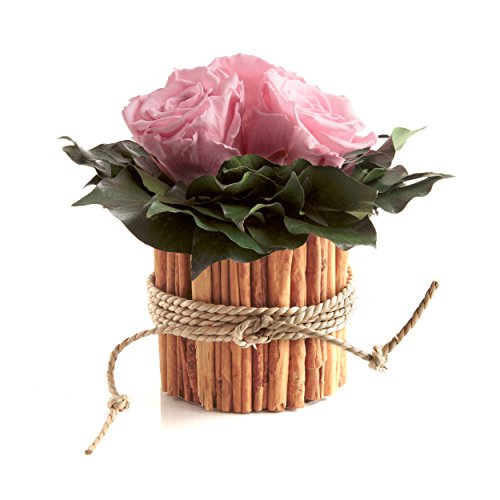 ROSEMARIE SCHULZ Heidelberg Infinity Rosenbox rund 3 echte rosa Rosen konserviert Vase Zimtstangen Lange haltbar 3 Jahre (Rosa, 3 Rosen) von ROSEMARIE SCHULZ Heidelberg