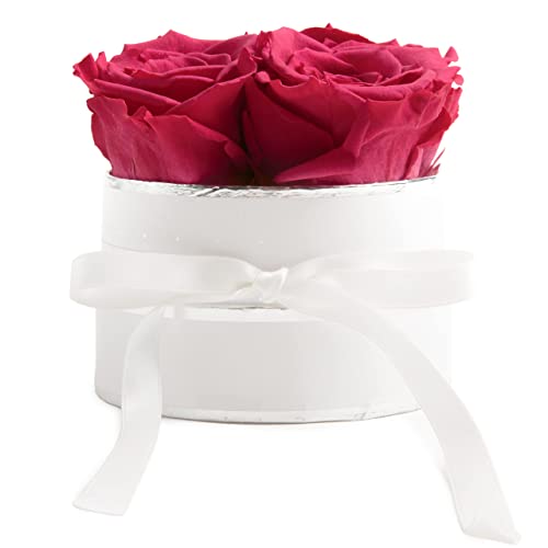 ROSEMARIE SCHULZ Heidelberg Rosenbox rund Infinity Rosen Pink - Blumenbox in Weiß 4 konservierte Rosen haltbar 3 Jahre - Geschenke für Freundinnen (Small, Weiß-Pink) von ROSEMARIE SCHULZ Heidelberg