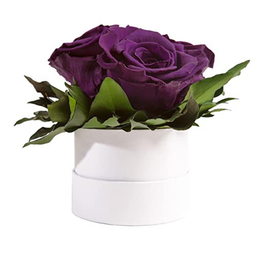 ROSEMARIE SCHULZ Heidelberg Infinity Rosenbox weiß rund konservierte Blumen Dunkelviolett - 3 Infinity Rosen Durchmesser 15 cm - Geschenk für Frauen (Violett, Medium) von ROSEMARIE SCHULZ Heidelberg