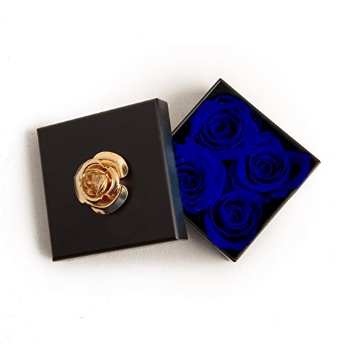 ROSEMARIE SCHULZ Heidelberg Kleine Infinity Rosen haltbar 3 Jahre in Box Rose konserviert (Blau, 4 Röschen) von ROSEMARIE SCHULZ Heidelberg