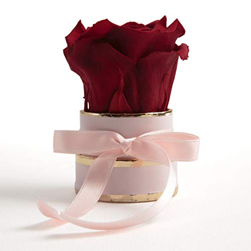 ROSEMARIE SCHULZ Heidelberg Kleine Rosenbox rosa rund Infinity Rose - Blumenbox 1 echte Blume konserviert haltbar 3 Jahre Höhe ca. 8 cm - keines Geschenk für Frauen (Rosa-Dunkelrot) von ROSEMARIE SCHULZ Heidelberg