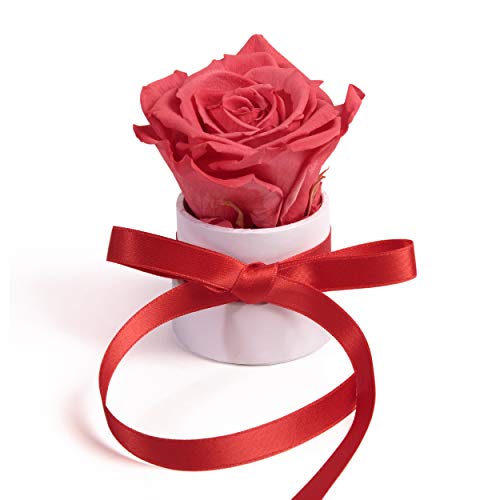 ROSEMARIE SCHULZ Heidelberg Kleine Rosenbox weiß rund Infinity Rose - Blumenbox 1 echte Blume konserviert haltbar 3 Jahre Höhe ca. 8 cm - keines Geschenk für Frauen (Weiß-Korall) von ROSEMARIE SCHULZ Heidelberg