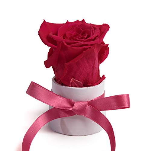 ROSEMARIE SCHULZ Heidelberg Kleine Rosenbox weiß rund Infinity Rose - Blumenbox 1 echte Blume konserviert haltbar 3 Jahre Höhe ca. 8 cm - keines Geschenk für Frauen (Weiß-Pink) von ROSEMARIE SCHULZ Heidelberg