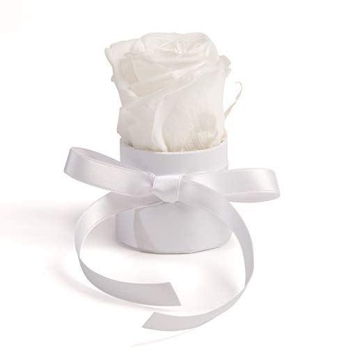 ROSEMARIE SCHULZ Heidelberg Kleine Rosenbox weiß rund Infinity Rose - Blumenbox 1 echte Blume konserviert haltbar 3 Jahre Höhe ca. 8 cm - keines Geschenk für Frauen (Weiß-Weiß) von ROSEMARIE SCHULZ Heidelberg