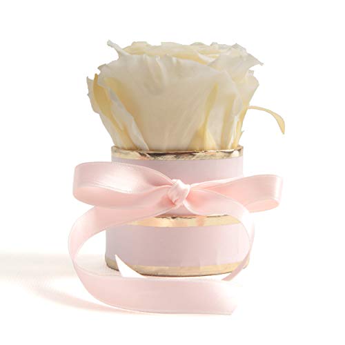 ROSEMARIE SCHULZ Heidelberg Kleine Rosenbox weiß rund Infinity Rose - Blumenbox 1 konservierte Rose (Rosa-Champagner) von ROSEMARIE SCHULZ Heidelberg
