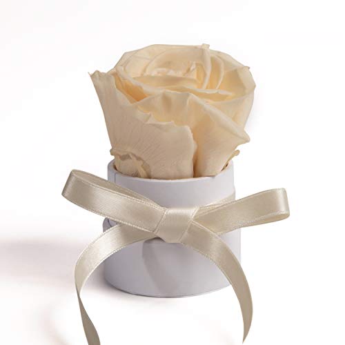 ROSEMARIE SCHULZ Heidelberg Kleine Rosenbox weiß rund Infinity Rose - Blumenbox 1 konservierte Rose (Weiß-Champagner) von ROSEMARIE SCHULZ Heidelberg