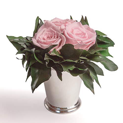 ROSEMARIE SCHULZ Heidelberg Konservierte Blumen in silberfarbenen Becher 3 Infinity Rosen konserviert langhaltende Blume (Rosa, 3 Rosen) von ROSEMARIE SCHULZ Heidelberg