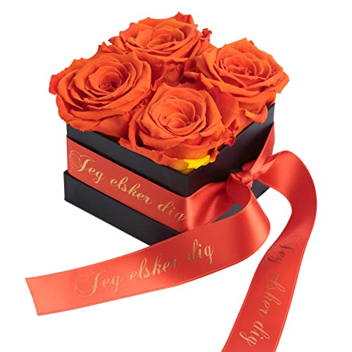 ROSEMARIE SCHULZ Heidelberg Norwegisches Geschenk Liebe - Infinity Rosenbox 4 echte Rosen orange haltbar 3 Jahre 8,5 x 8,5 cm - Valentinstag für sie (Jeg elsker dig, Orange) von ROSEMARIE SCHULZ Heidelberg