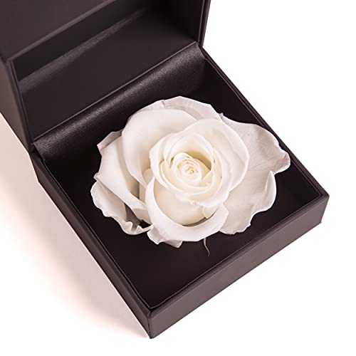 ROSEMARIE SCHULZ Heidelberg Rosenbox 1 Infinity Rose Weiß konserviert Blumen Geschenkbox - 11x11cm Ringdose mit Blumen Deckel (Weiß) von ROSEMARIE SCHULZ Heidelberg
