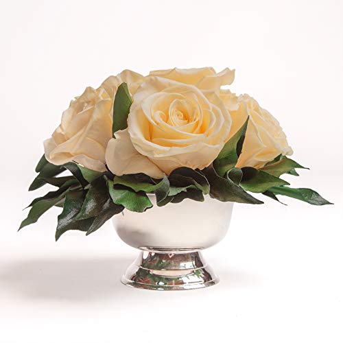 ROSEMARIE SCHULZ Heidelberg Rosenbox Flowerbox Infinity Rosen in silberfarbener Schale 6 unvergängliche Rosen konserviert und langhaltend (Beige, 6 Rosen) von ROSEMARIE SCHULZ Heidelberg