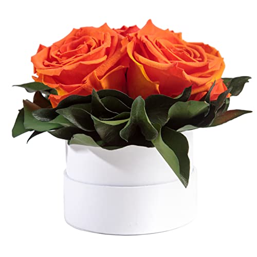 ROSEMARIE SCHULZ Heidelberg Infinity Rosenbox weiß rund konservierte Blumen Orange - 3 Infinity Rosen Durchmesser 15 cm - Lieblingsmensch Geschenk (Orange, Medium) von ROSEMARIE SCHULZ Heidelberg